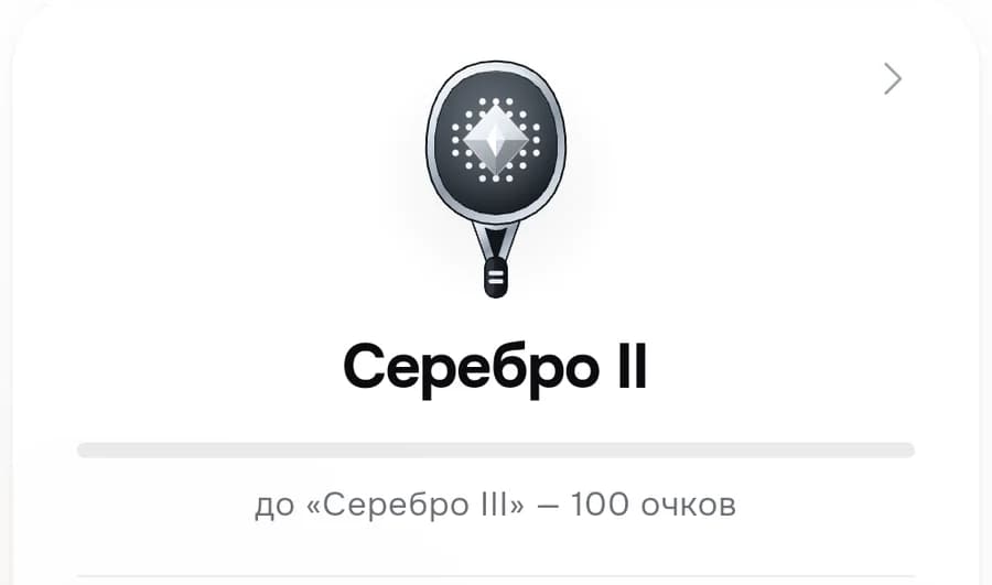 Карточка ранга в приложении